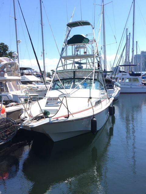 1989 Boston Whaler Sport